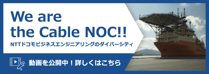 NTTドコモビジネスエンジニアリングのダイバーシティ動画