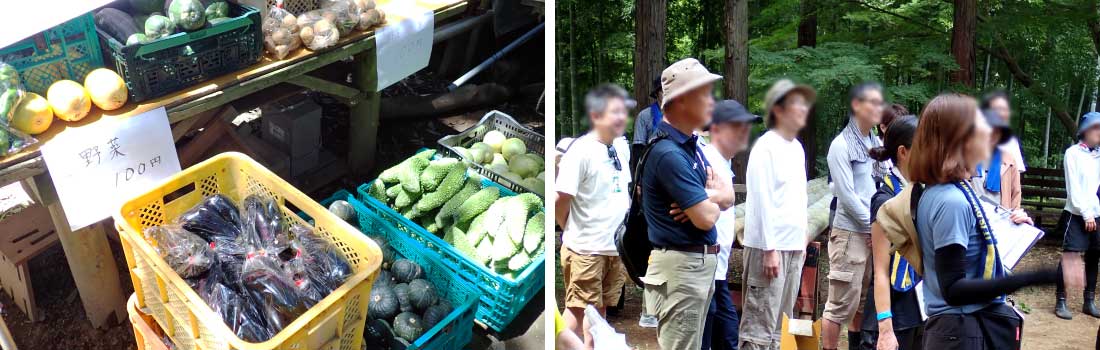 採れたての野菜と閉会式の様子