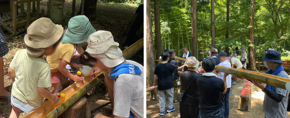 夏の里山保全活動の様子