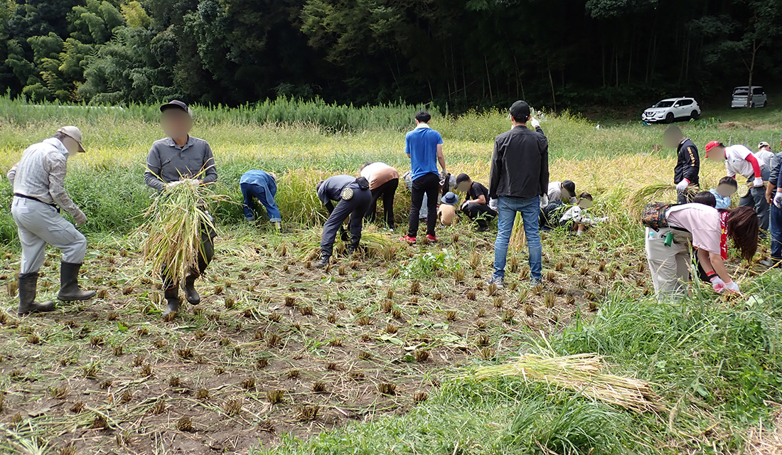 お山の思い出、またひとつ。<br>秋の収穫体験に行ってきました！