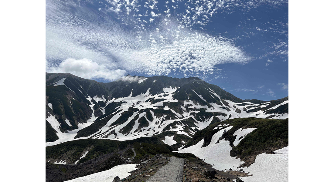 写真タイトル　水蒸気が作る白の世界