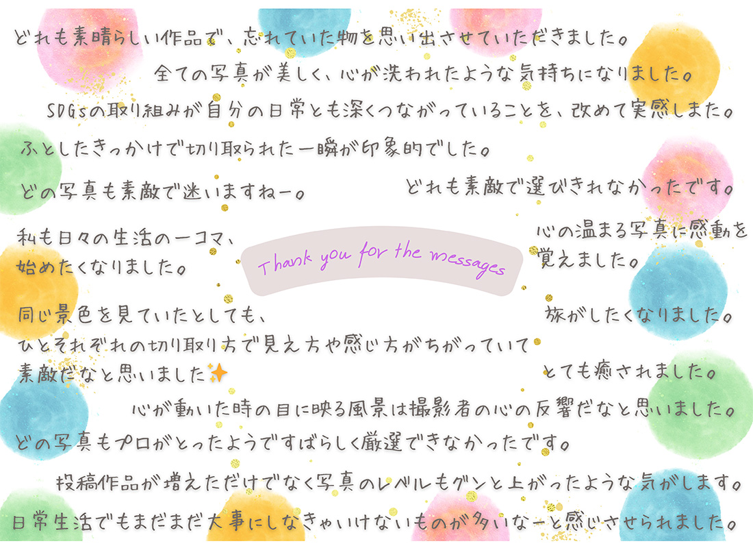 写真タイトル　夏詣