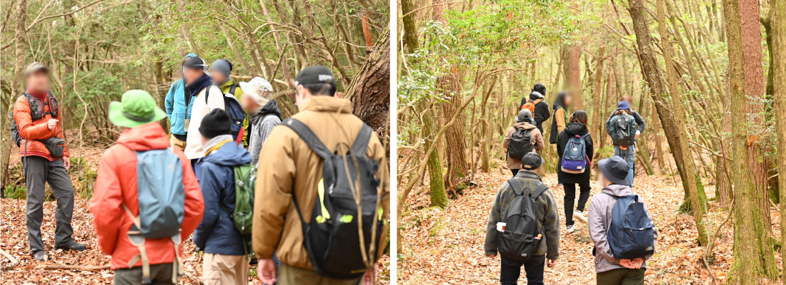 樹海の中をウォーキングしている様子