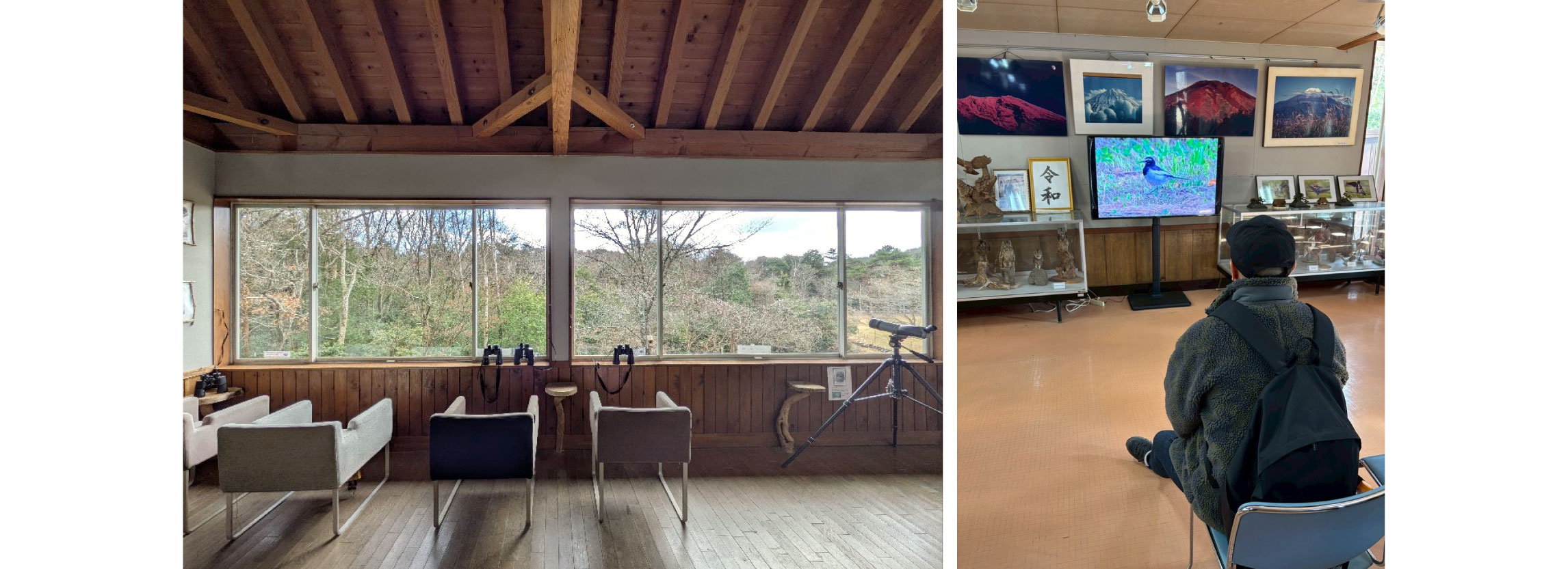 西湖野鳥の森ギャラリーの様子