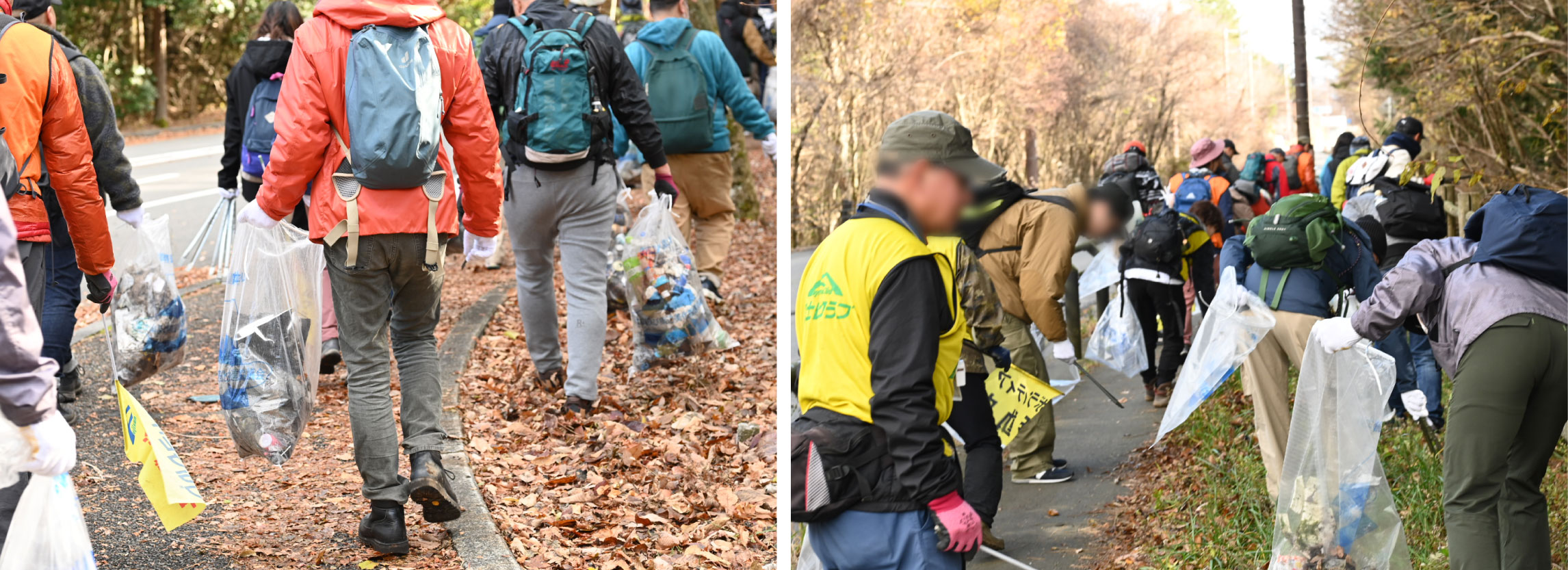 清掃活動の様子
