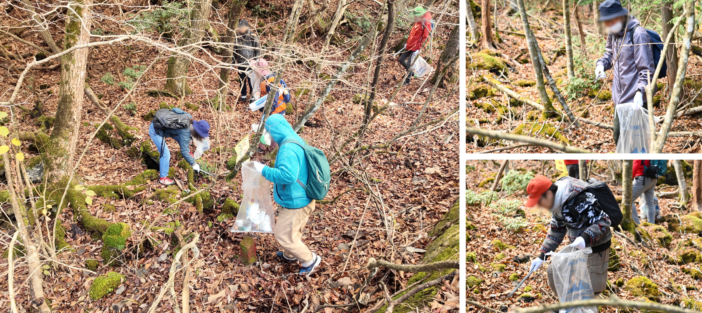 清掃活動の様子