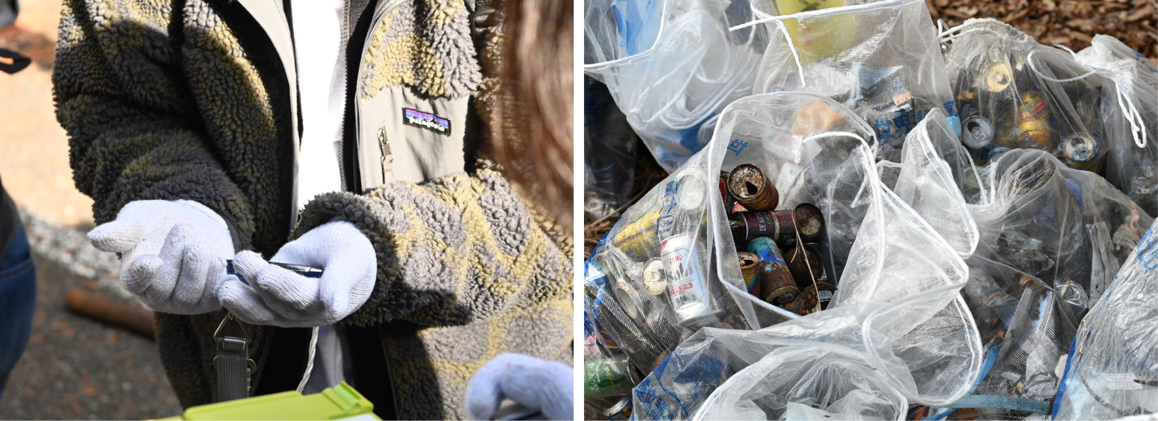 清掃活動の様子