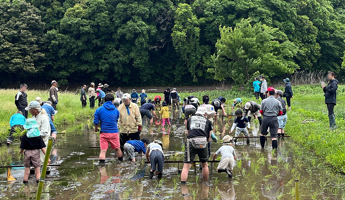 今年もやります！春の白井里山保全活動2026